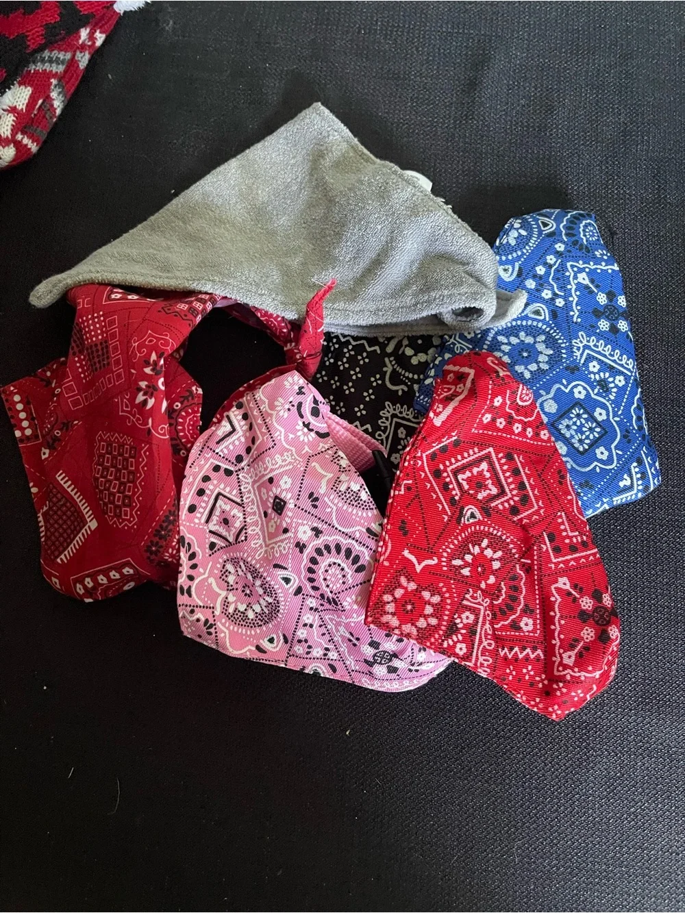 48 piece small dog accessories